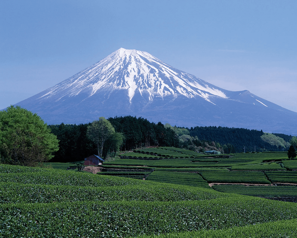 Mount Fuji in Japan | Types of Volcanoes | TechyTempest